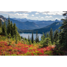  Matrica tapéta Natura153 Virágok, tó, hegyek, 250 x 200 cm tapéta, díszléc és más dekoráció