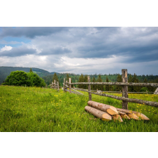  Matrica tapéta Natura156 Meadows and forest, 200 x 150 cm tapéta, díszléc és más dekoráció
