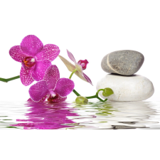  Matrica tapéta Orchideák, kövek és víz, 250 x 150 cm tapéta, díszléc és más dekoráció