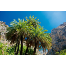  Matrica tapéta Palmieri30, 300 x 200 cm tapéta, díszléc és más dekoráció