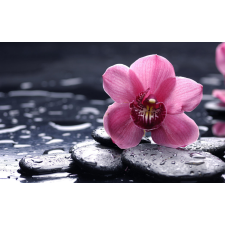  Matrica tapéta Pink orchidea, 300 x 250 cm tapéta, díszléc és más dekoráció