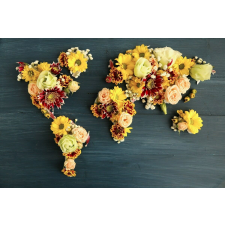  Matrica tapéta Virágkontinensek, 250 x 200 cm tapéta, díszléc és más dekoráció