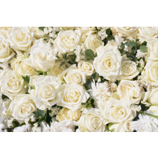  Matrica tapéta Virágok173 Fehér rózsák2, 150 x 205 cm tapéta, díszléc és más dekoráció