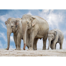  Matricás tapéta Elefántcsalád, 350 x 250 cm tapéta, díszléc és más dekoráció
