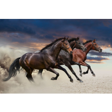  Matricás tapéta Három ló, galopp, 350 x 250 cm tapéta, díszléc és más dekoráció