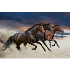  Matricás tapéta Három ló, vágta, 300 x 250 cm tapéta, díszléc és más dekoráció