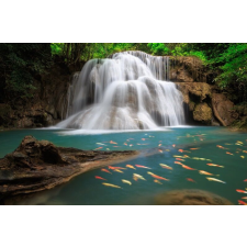  Matricás tapéta Vízesés halakkal, 300 x 200 cm tapéta, díszléc és más dekoráció