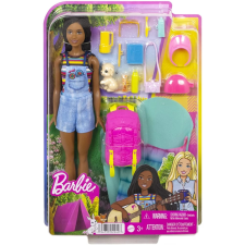 Mattel Barbie: Kempingező Brooklyn baba barbie baba