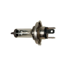 MAXGEAR izzó h4,p43t-38,W60/55 autó izzó, izzókészlet