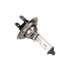 MAXGEAR izzó h7,px26d,W55