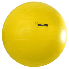 Maximus Power Play lólabda 100cm lovaglás