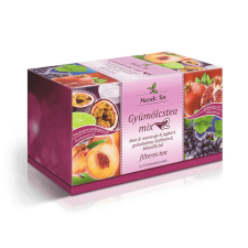  MECSEK Gyümölcstea mix 2 tea