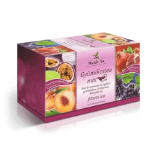  Mecsek Tea Gyümölcstea Mix-2 filteres (4 x 5 x 2 g) gyógytea