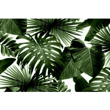  MÉDIA Absztrakt levél matrica, 270 x 200 cm tapéta, díszléc és más dekoráció