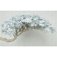  Média absztrakt tapéta, fa, 270 x 200 cm tapéta, díszléc és más dekoráció