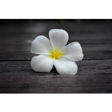  MÉDIA Flori59 Tapéta, 270 x 200 cm tapéta, díszléc és más dekoráció