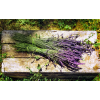  MÉDIA Flori67 öntapadós tapéta, 270 x 200 cm