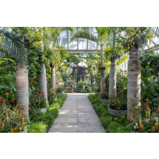  MÉDIA Kert pálmafákkal matrica, 270 x 200 cm tapéta, díszléc és más dekoráció