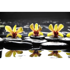  MÉDIA Matrica, 220 x 135 cm, Sárga orchideák kövekkel tapéta, díszléc és más dekoráció