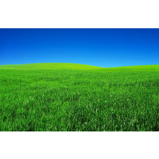  MÉDIA Natura109 vászonkép, 105 x 70 cm grafika, keretezett kép