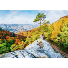  MÉDIA Natura138 vászonkép, 105 x 70 cm grafika, keretezett kép