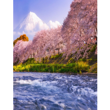  MÉDIA Natura34 öntapadós és mosható fali tapéta, 135 x 225 cm tapéta, díszléc és más dekoráció