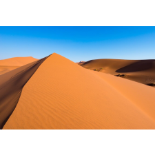  MÉDIA Natura73 öntapadós és mosható fali tapéta, 270 x 200 cm tapéta, díszléc és más dekoráció