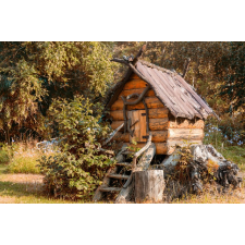  Média Natura77 öntapadó és mosható fali tapéta, 270 x 200 cm tapéta, díszléc és más dekoráció