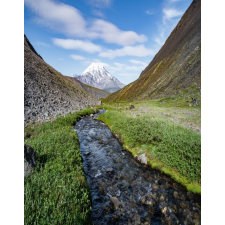  Média Natura80 matrica, 135 x 225 cm tapéta, díszléc és más dekoráció