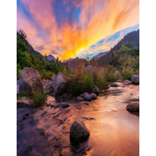  MÉDIA Natura88 matrica tapéta, 135 x 225 cm tapéta, díszléc és más dekoráció