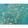  MÉDIA Öntapadó és mosható fali tapéta, Festett cseresznyeág, 220 x 135 cm