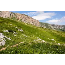  MÉDIA Öntapadó és mosható fali tapéta, Natura90, 220 x 135 cm tapéta, díszléc és más dekoráció