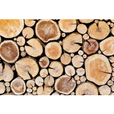  MÉDIA Öntapadó és mosható fotótapéta, 270 x 200 cm, Kompozíció 48 tapéta, díszléc és más dekoráció