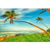  Media "Pálmafák a tengerparton" Öntapadó és mosható fotótapéta, 220 x 135 cm