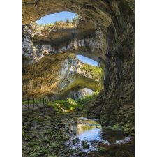  Media "Természet 97" tapéta, 200 x 255 cm tapéta, díszléc és más dekoráció