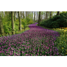  MÉDIA Rózsaszín virágút fali fotótapéta, öntapadó és mosható, 220 x 135 cm tapéta, díszléc és más dekoráció