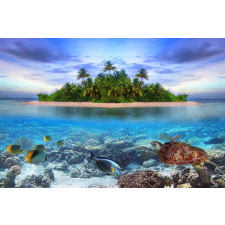  Média tapéta, sziget halakkal, 220 x 135 cm tapéta, díszléc és más dekoráció