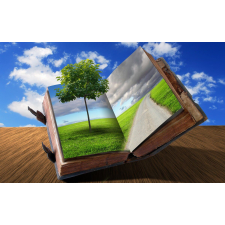  Média tudományos könyv tapéta, 270 x 200 cm tapéta, díszléc és más dekoráció