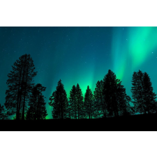  Média Univers 11 Erdő a csillagok között tapéta, 270 x 200 cm tapéta, díszléc és más dekoráció