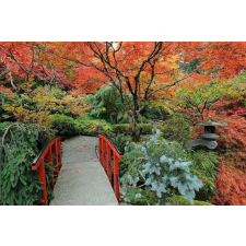  MÉDIA vászonfestmény, Japán kert 3, 105 x 70 cm grafika, keretezett kép
