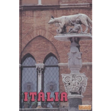 Medicina Itália ( 1993) antikvárium - használt könyv