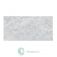  Medina Fürdőszoba/konyha csempe, szürke, fényes, márványutánzat, 25 x 50 cm csempe
