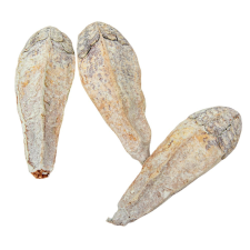  Mehogany pod szárított falfestékes mud zöld 13db-os dekorációs kellék