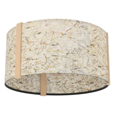  Mennyezeti világítás Eglo HONTONGAS színkeverék 390322 világítás