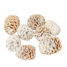  Meridianum falfestékes fehér 2,7kg/csom dekorációs kellék