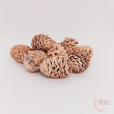  Meridianum - falfestékes lazac dekorációs kellék