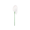  Merítő háló - 120 cm