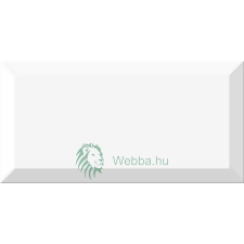  Metro Fürdőszoba/konyha csempe, fehér, fényes, 10 x 20 cm csempe