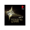 MG RECORDS ZRT. Különböző előadók - Rising Star Top 13 Dal (CD)