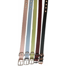  MI. 4218 Ringlis bélelt bőrnyakörv 25x550 nyakörv, póráz, hám kutyáknak